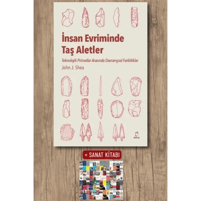 İnsan Evriminde Taş Aletler