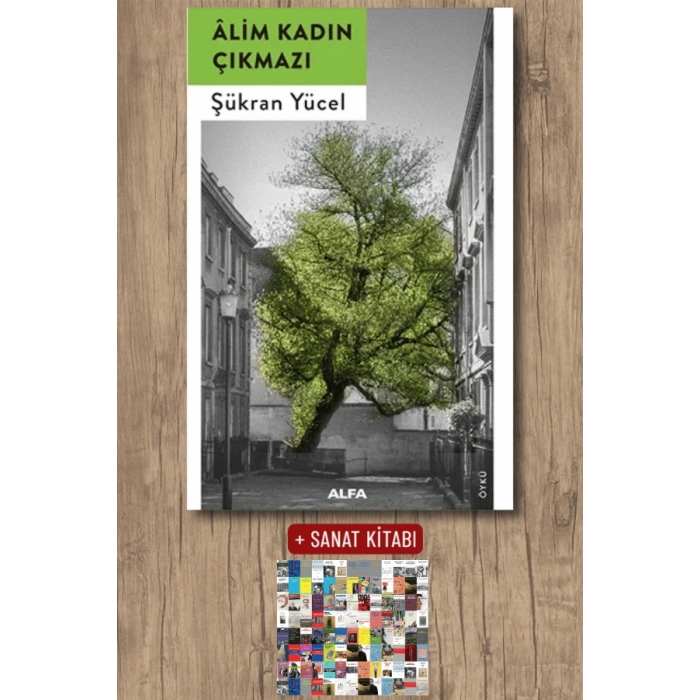 Alim Kadın Çıkmazı