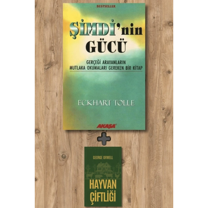 Şimdi’nin Gücü