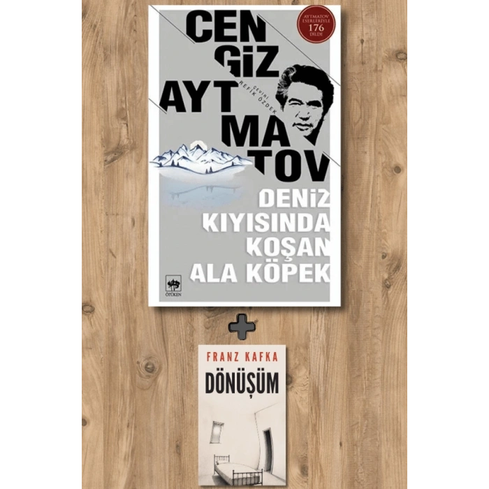 Deniz Kıyısında Koşan Ala Köpek