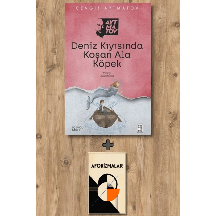 Deniz Kıyısında Koşan Ala Köpek