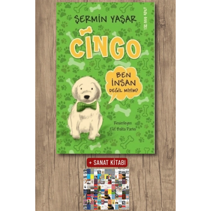 Cingo - Ben İnsan Değil miyim?