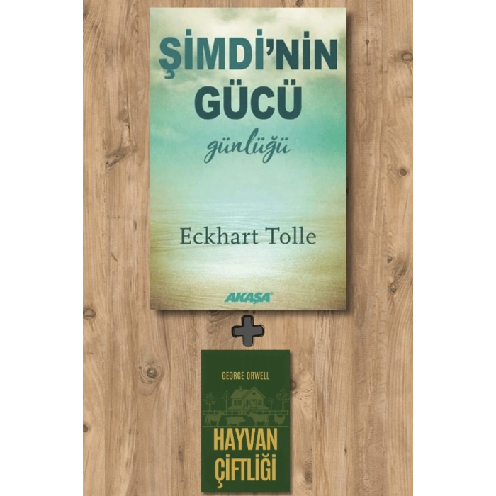 Şimdinin Gücü Günlüğü
