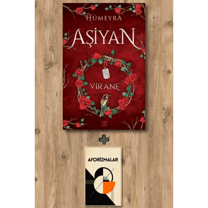 Aşiyan 1 - Virane