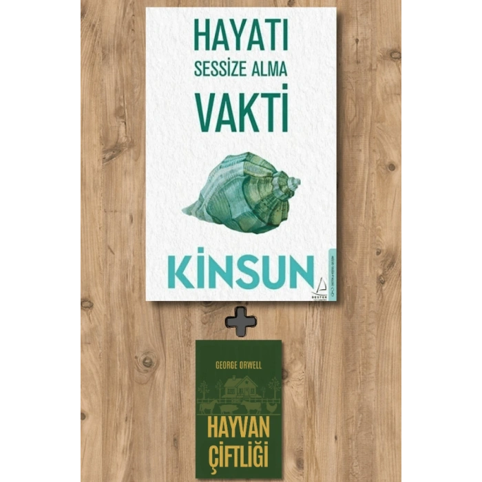 Hayatı Sessize Alma Vakti