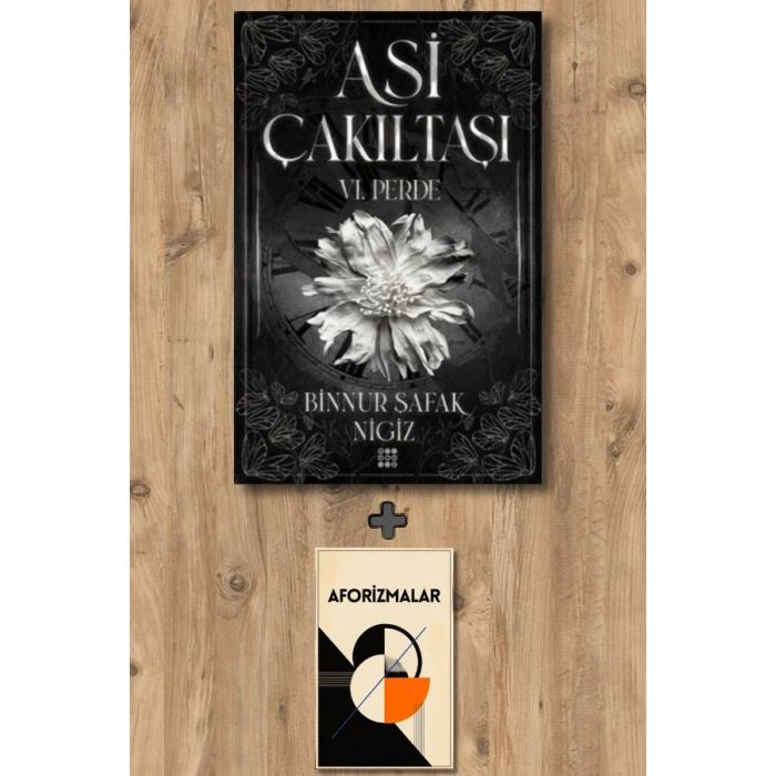 Sanat Kitabı + 6. Perde - Asi Çakıltaşı (Ciltli) / Binnur Şafak Nigiz