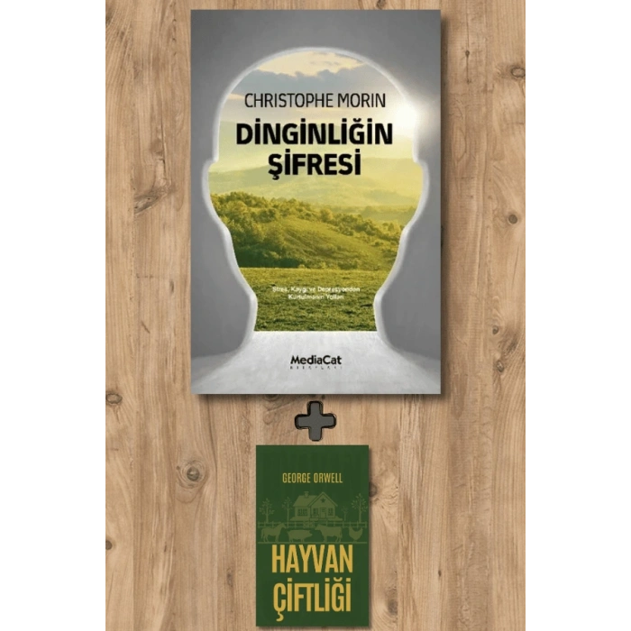 Dinginliğin Şifresi