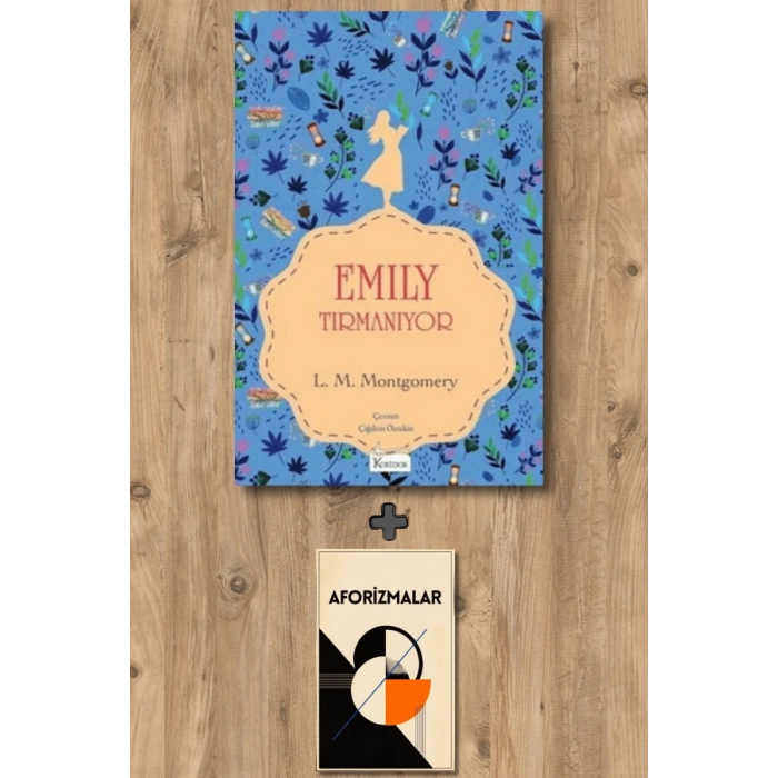 Emily Tırmanıyor 2 (Bez Ciltli)