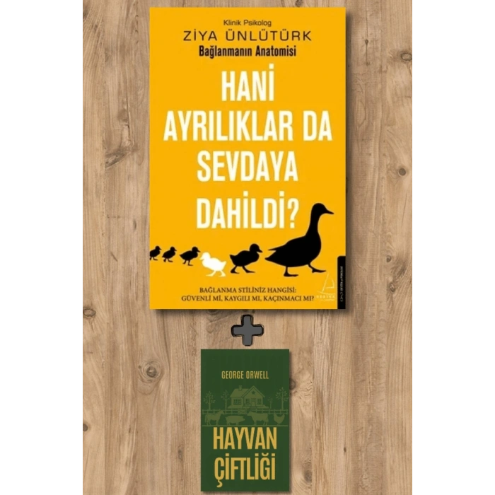 Hani Ayrılıklar da Sevdaya Dahildi?