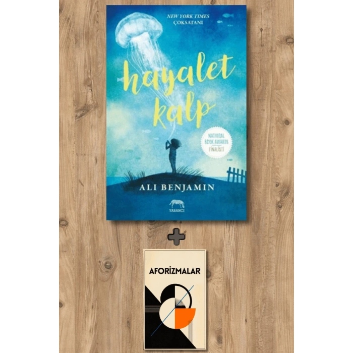 Sanat Kitabı + Hayalet Kalp / Ali Benjamin