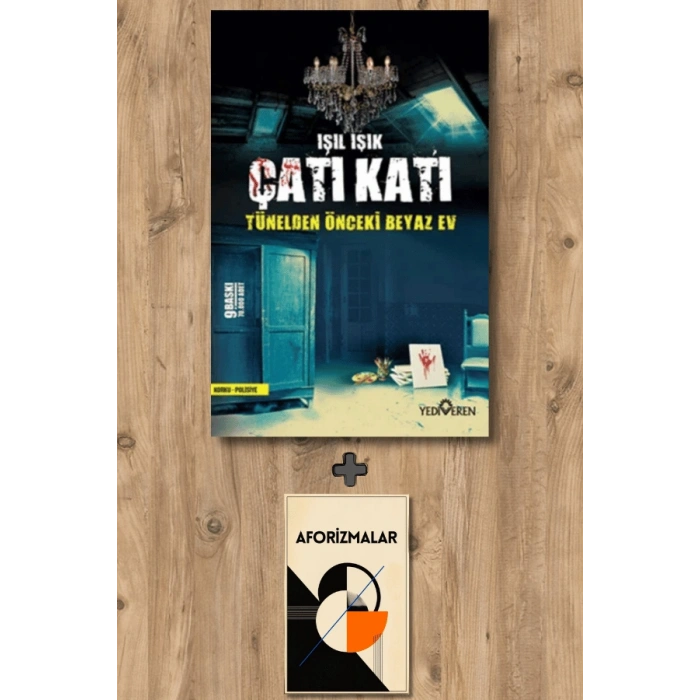 Sanat Kitabı + Çatı Katı / Işıl Işık