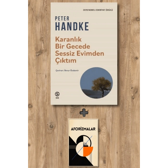 Karanlık Bir Gecede Sessiz Evimden Çıktım