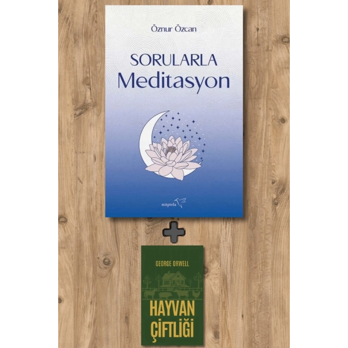 Sorularla Meditasyon