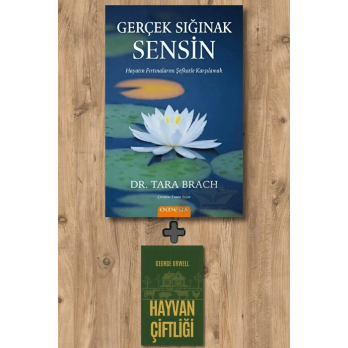 Gerçek Sığınak Sensin