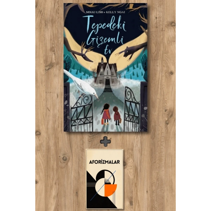 Sanat Kitabı + Tepedeki Gizemli Ev / Mikki Lish