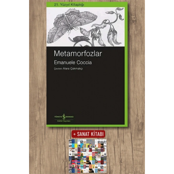 Metamorfozlar