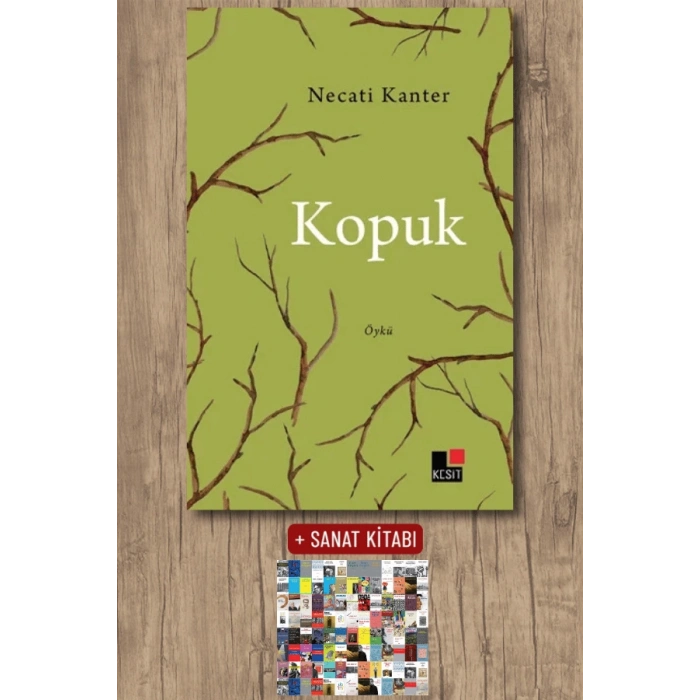 Kopuk