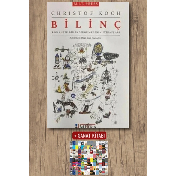 Bilinç - Romantik Bir İndirgemecinin İtirafları