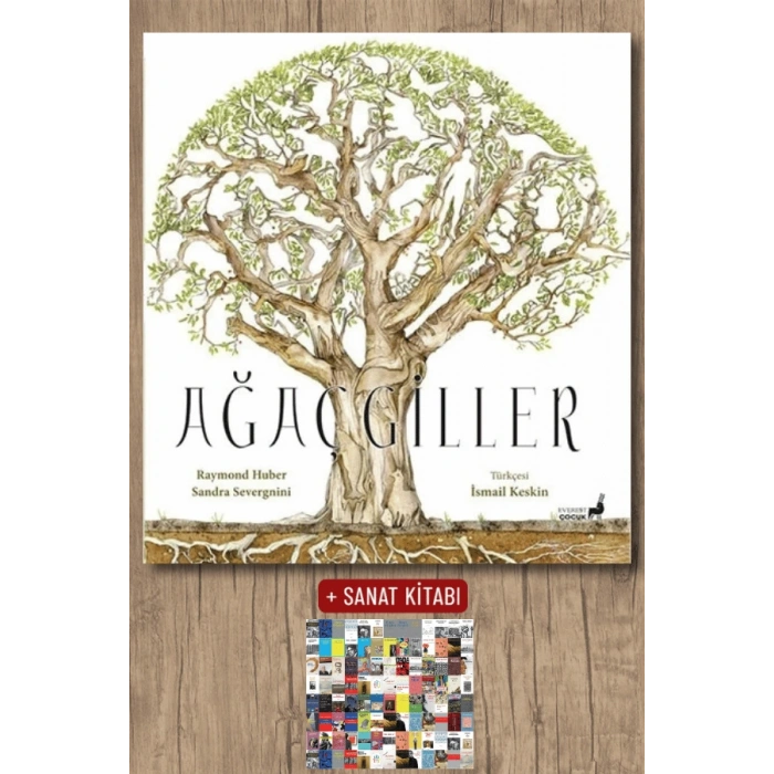 Ağaçgiller / Raymond Huber + Sanat Kitabı