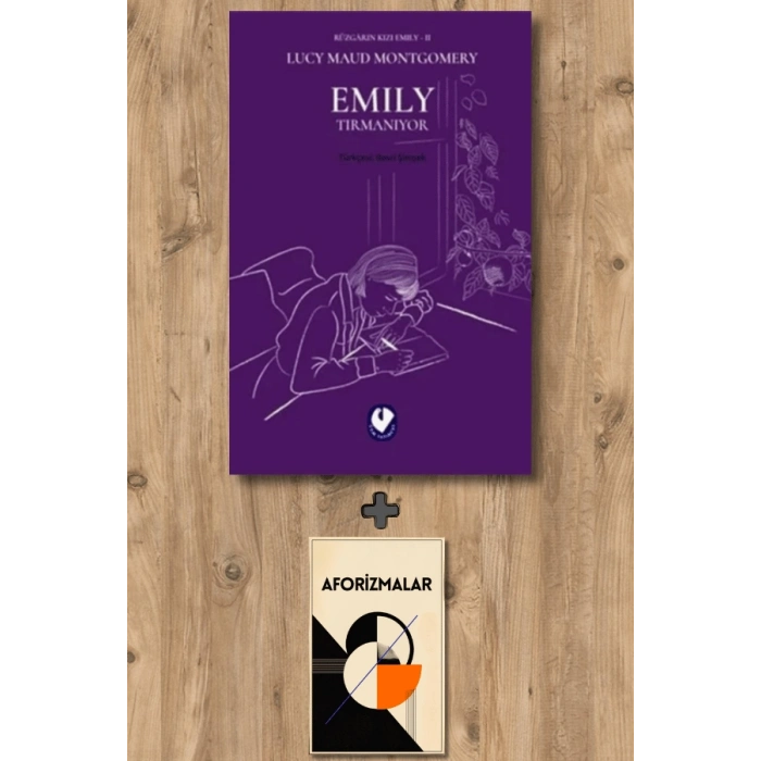 Sanat Kitabı + Rüzgarın Kızı Emily 2 - Emily Tırmanıyor / Lucy Maud Montgomery