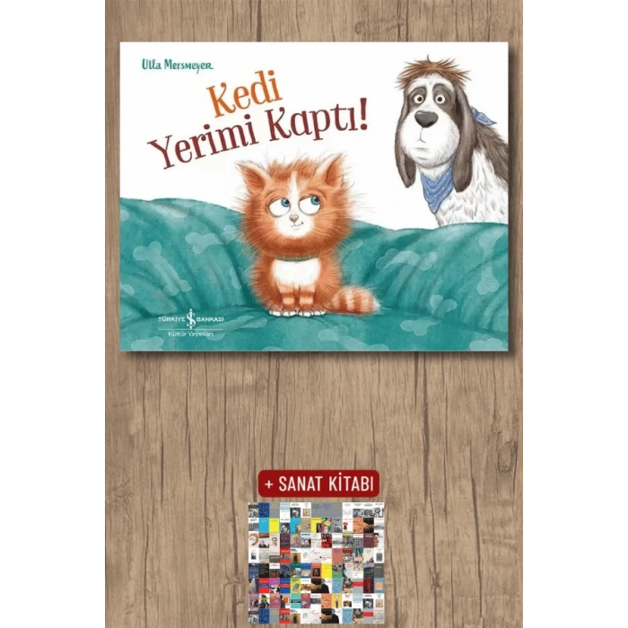 Kedi Yerimi Kaptı!