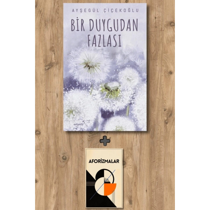 Bir Duygudan Fazlası