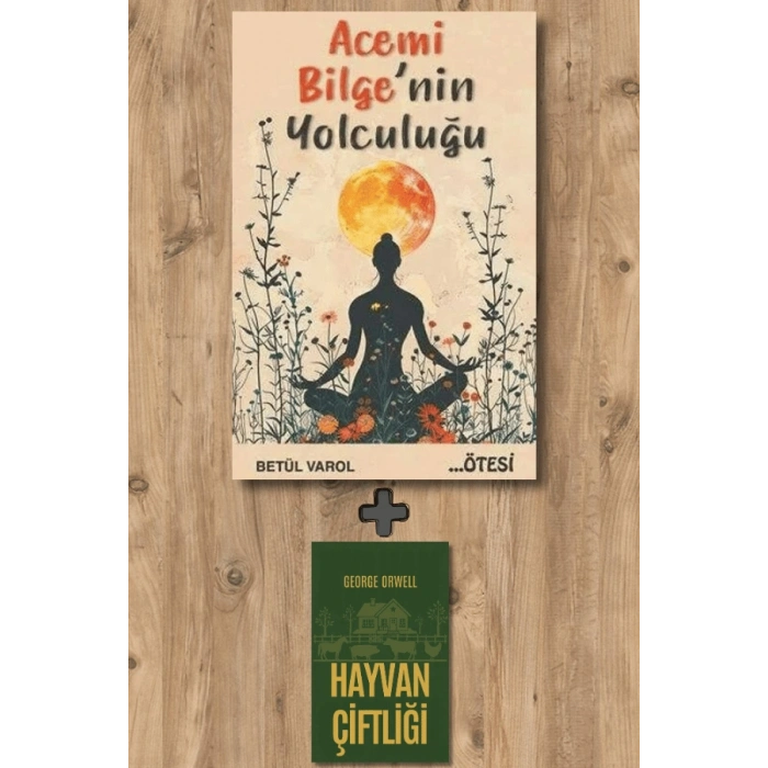 Acemi Bilgenin Yolculuğu