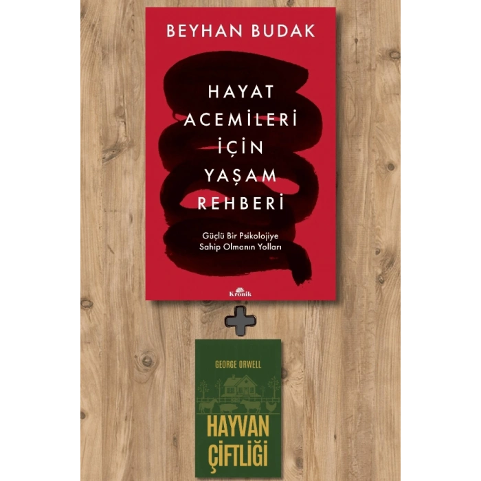 Hayat Acemileri İçin Yaşam Rehberi