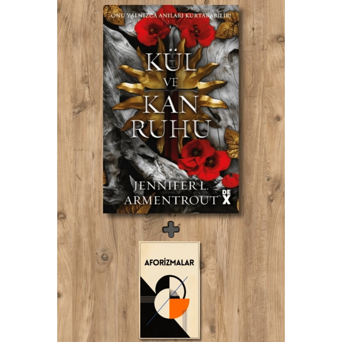 Sanat Kitabı + Kan ve Kül 5 - Kül ve Kan Ruhu / Jennifer L. Armentrout
