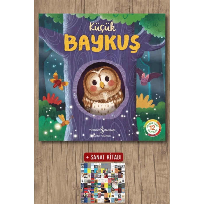 Küçük Baykuş