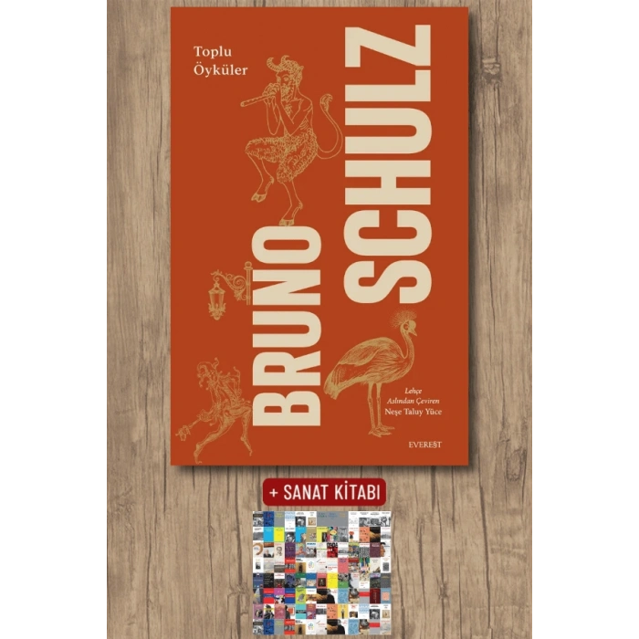 Bruno Schulz - Toplu Öyküler (Ciltli)