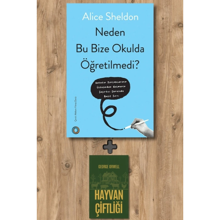 Neden Bu Bize Okulda Öğretilmedi?