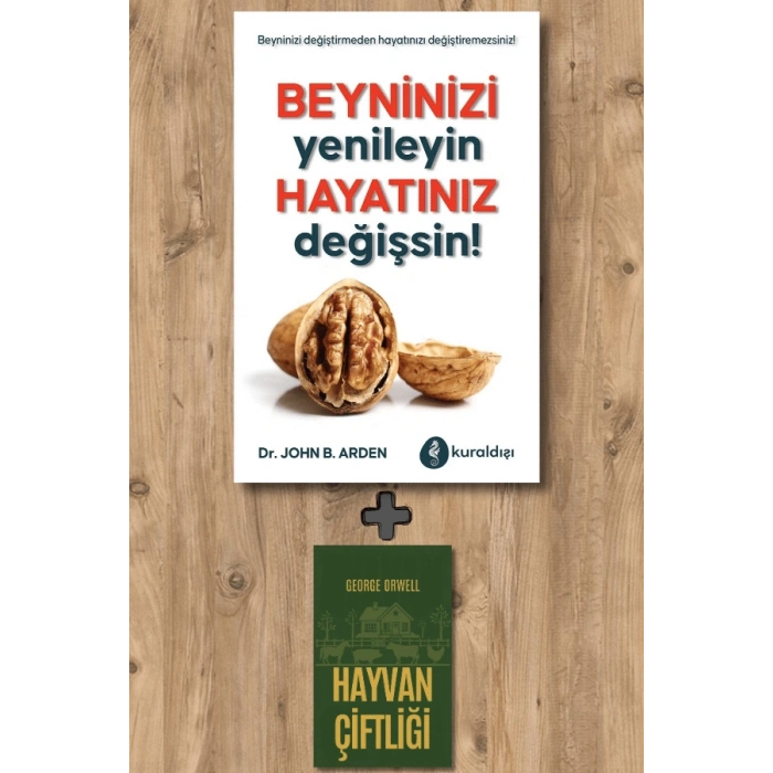 Beyninizi Yenileyin Hayatınız Değişsin !