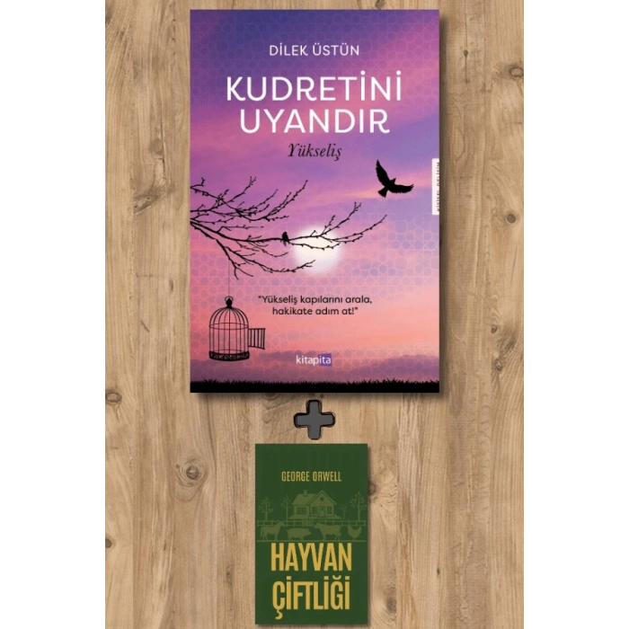 Kudretini Uyandır - Yükseliş