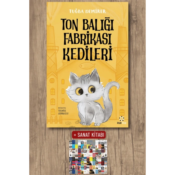 Ton Balığı Fabrikası Kedileri
