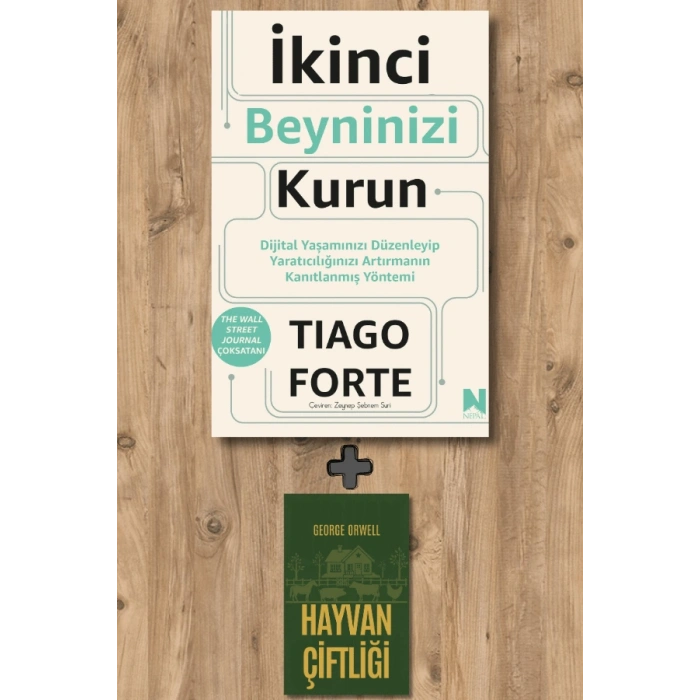 İkinci Beyninizi Kurun