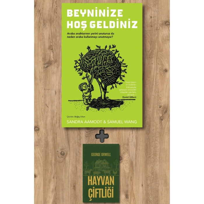 Beyninize Hoş Geldiniz