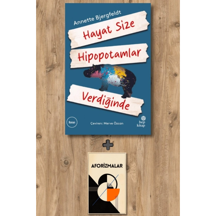Sanat Kitabı + Hayat Size Hipopotamlar Verdiğinde / Annette Bjergfeldt