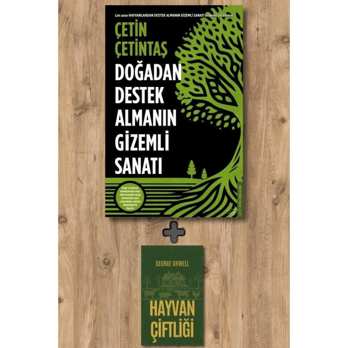 Doğadan Destek Almanın Gizemli Sanatı