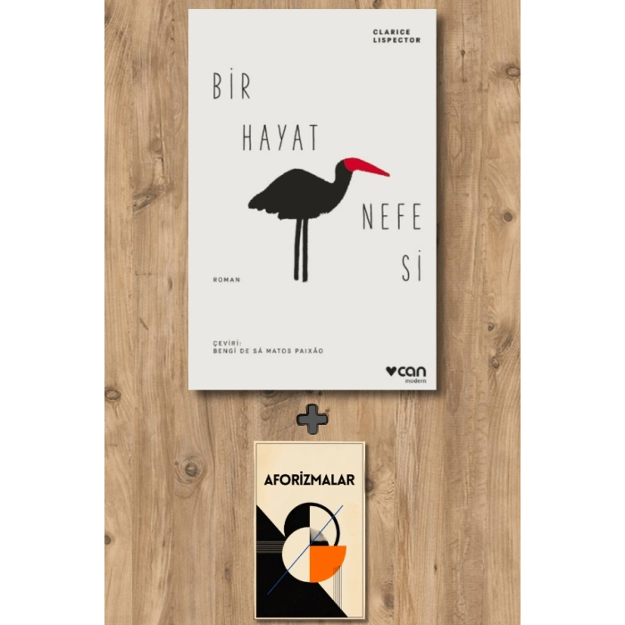 Sanat Kitabı + Bir Hayat Nefesi / Clarice Lispector