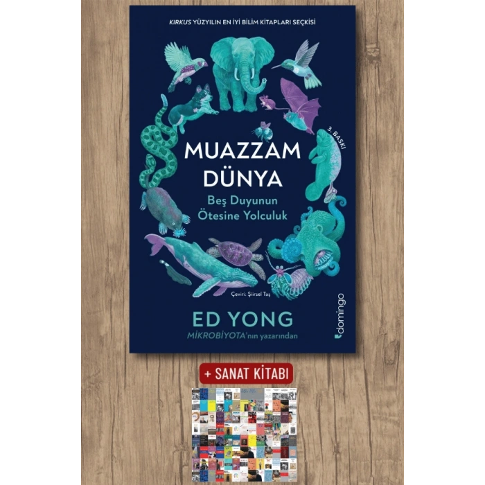 Muazzam Dünya