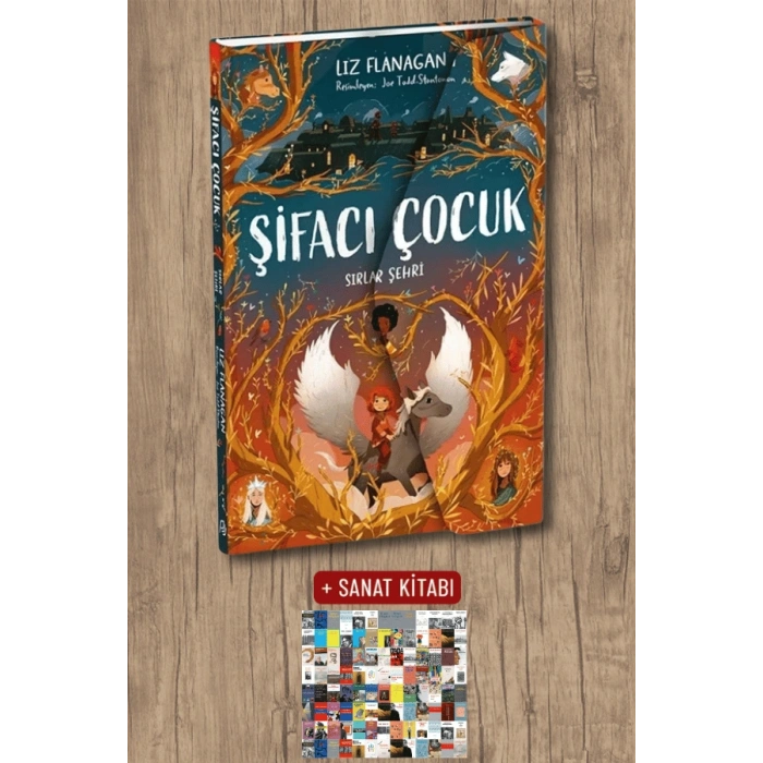 Şifacı Çocuk 2 - Sırlar Şehri