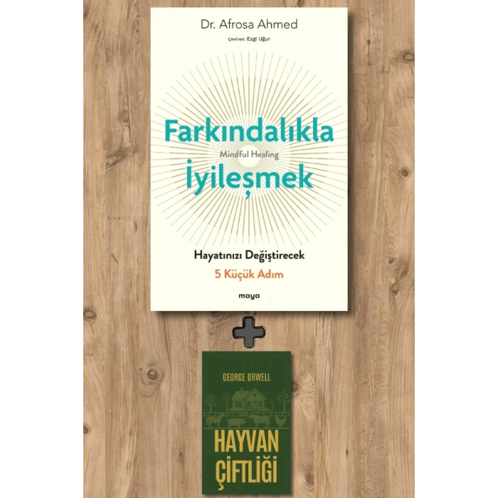 Farkındalıkla İyi̇leşmek