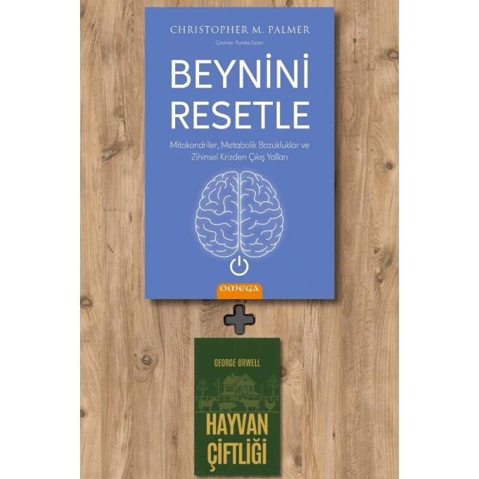 Beynini Resetle