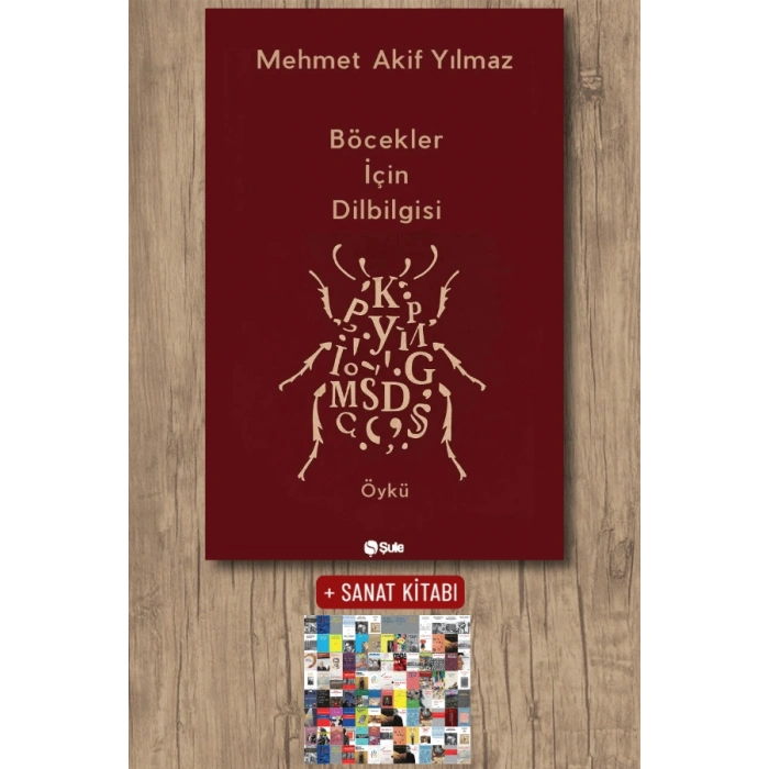 Böcekler İçin Dilbilgisi