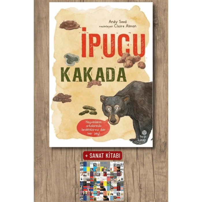 İpucu Kakada