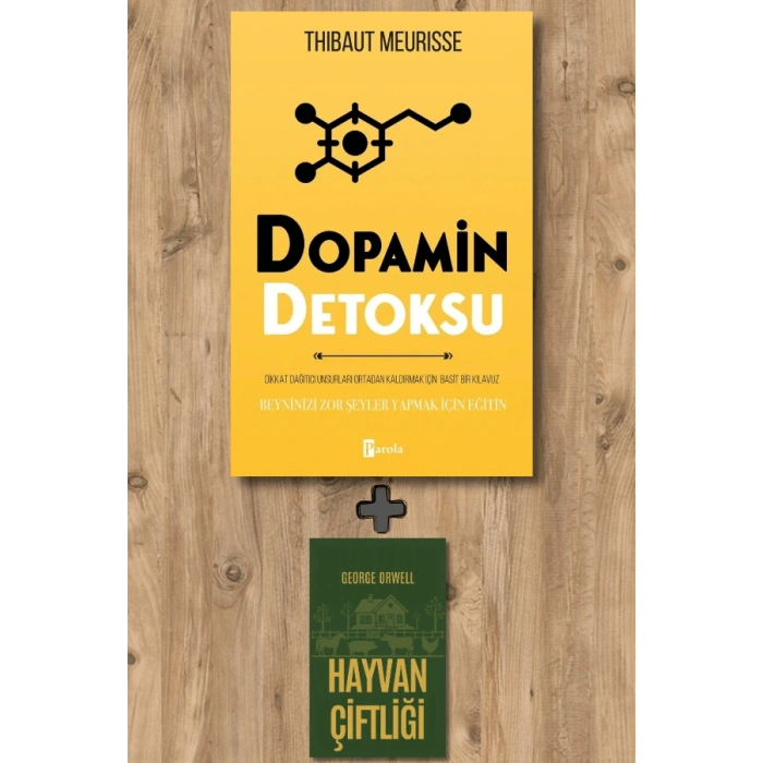 Dopamin Detoksu