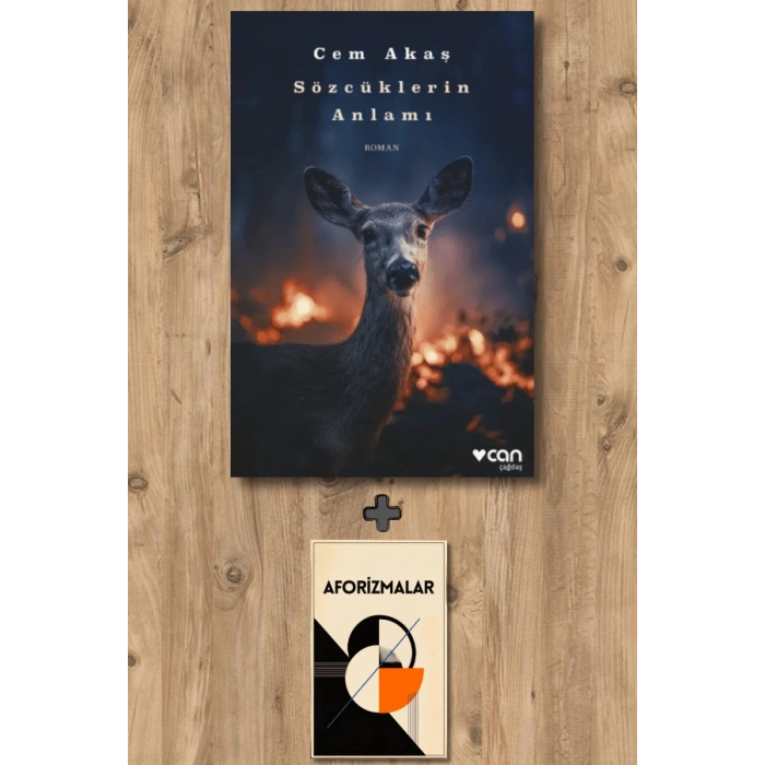 Sanat Kitabı + Sözcüklerin Anlamı / Cem Akaş