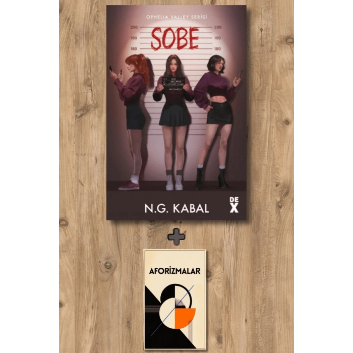 Saklambaç 2 - Sobe (Ciltli)