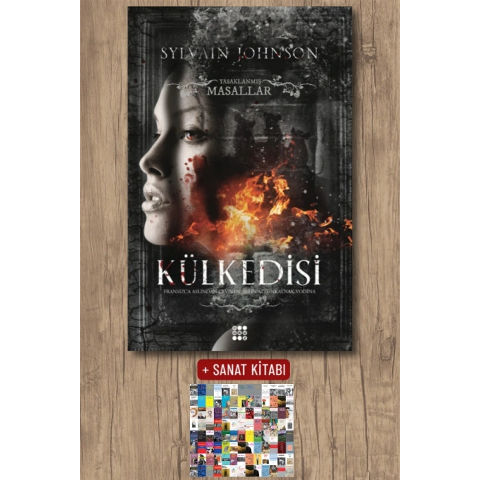 Sanat Kitabı + Külkedisi / Sylvain Johnson